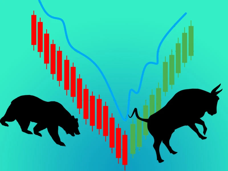 bull and bear market